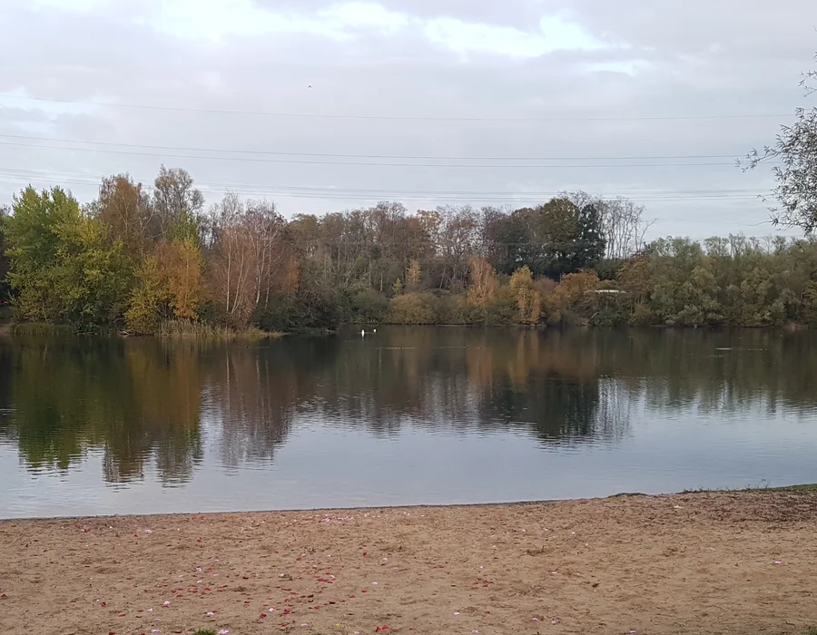 Top Badeseen in Köln | Großer Silbersee | Mr. Köln | Foto: seen.de Top Badeseen in Köln | Großer Silbersee | Mr. Köln | Foto: seen.de