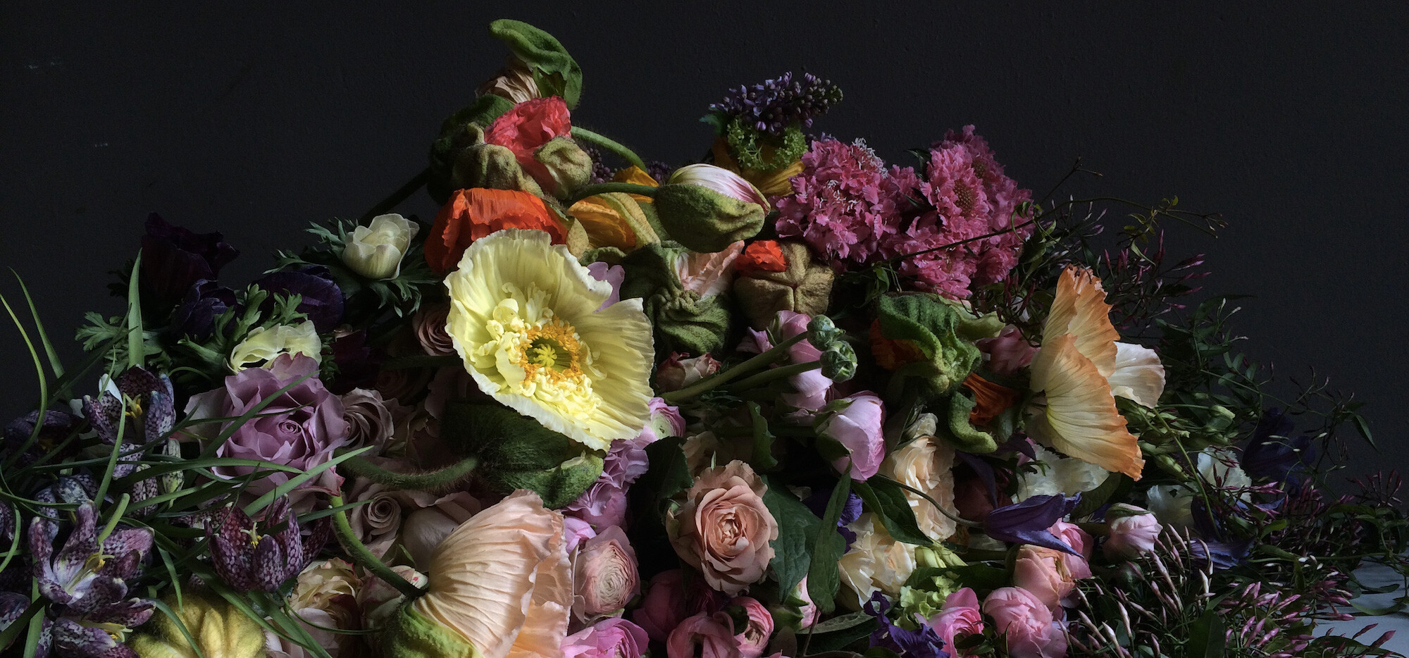 Meine 10 liebsten Blumenlden in Kln mit Flowerpower