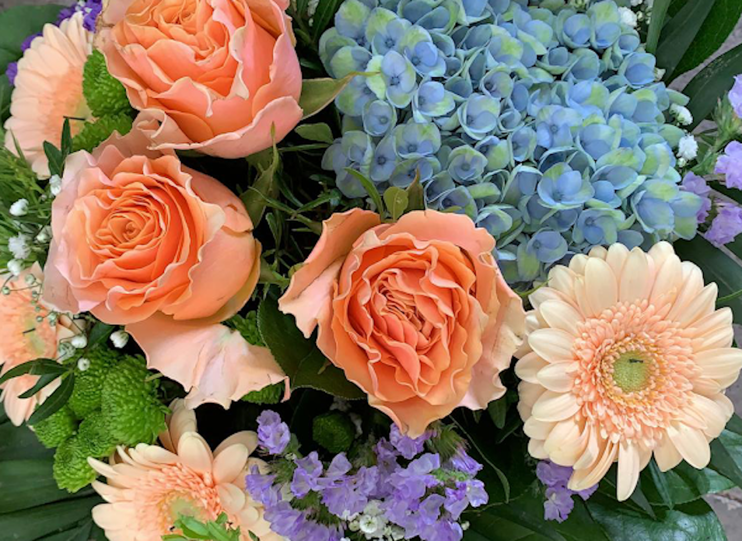 Top Blumenläden in Köln | Blumen Hoogland| Mr. Köln | Foto: Blumen Hoogland Top Blumenläden in Köln | Blumen Hoogland| Mr. Köln | Foto: Blumen Hoogland