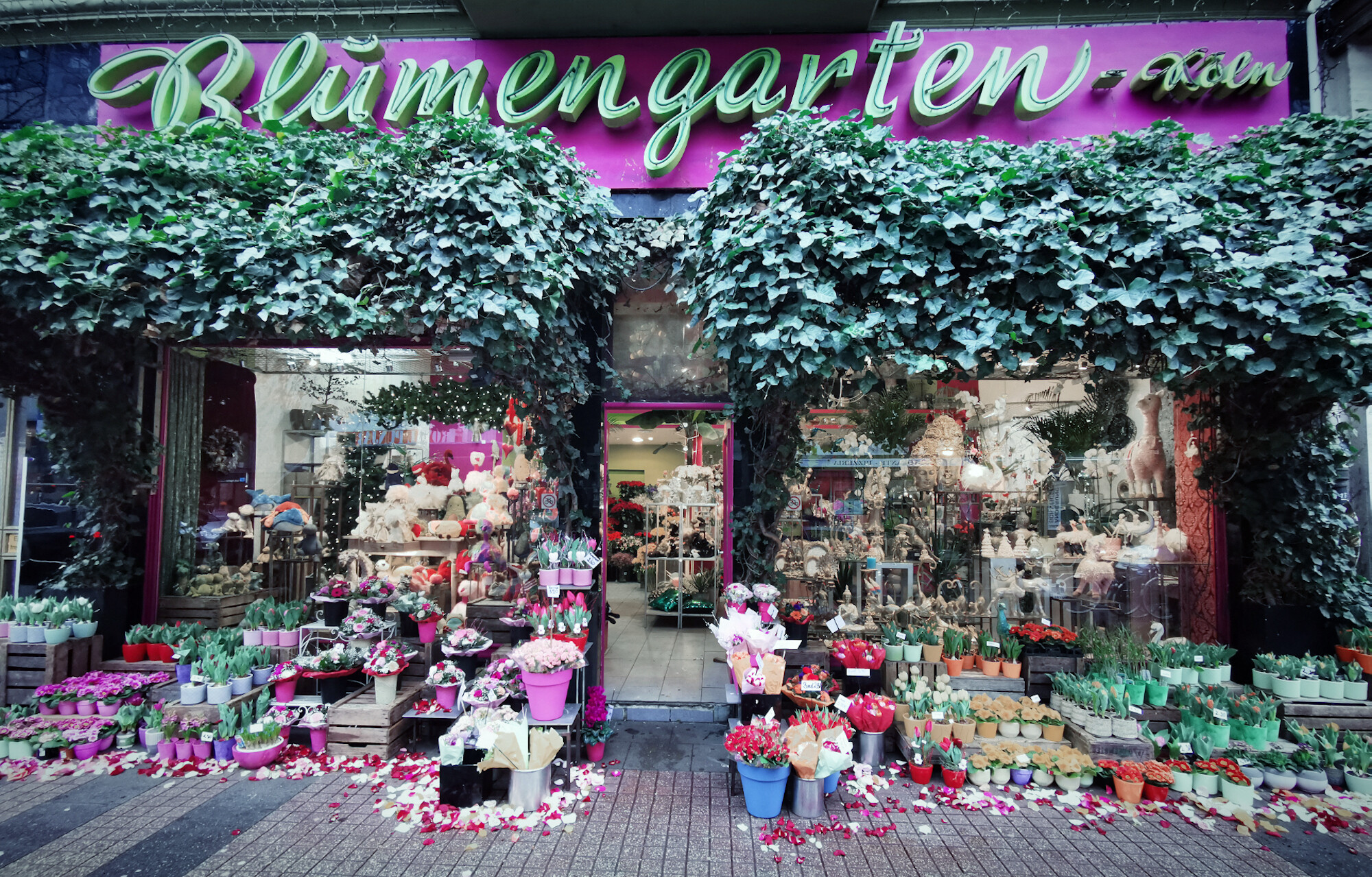 Top Blumenläden in Köln | Blumengarten| Mr. Köln | Foto: Blumengarten Top Blumenläden in Köln | Blumengarten| Mr. Köln | Foto: Blumengarten