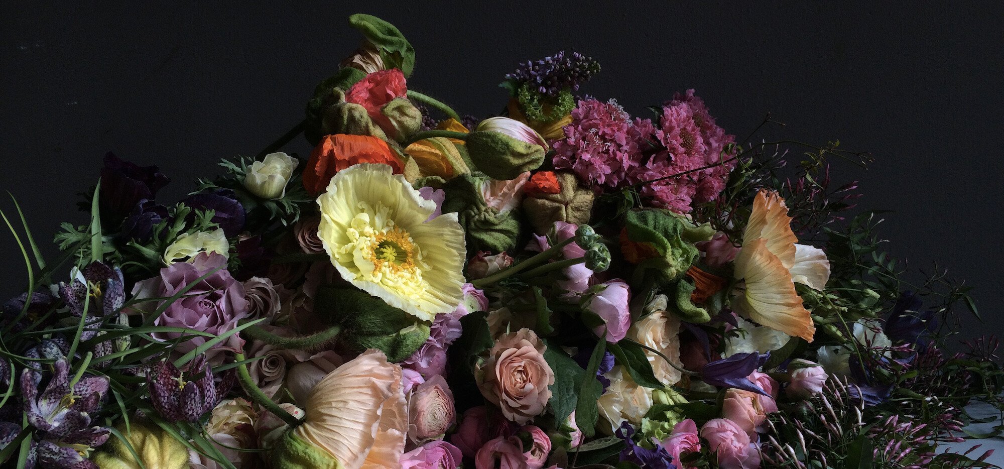 Top Blumenläden in Köln | Mr. Köln | Foto: Où j’ai grandi