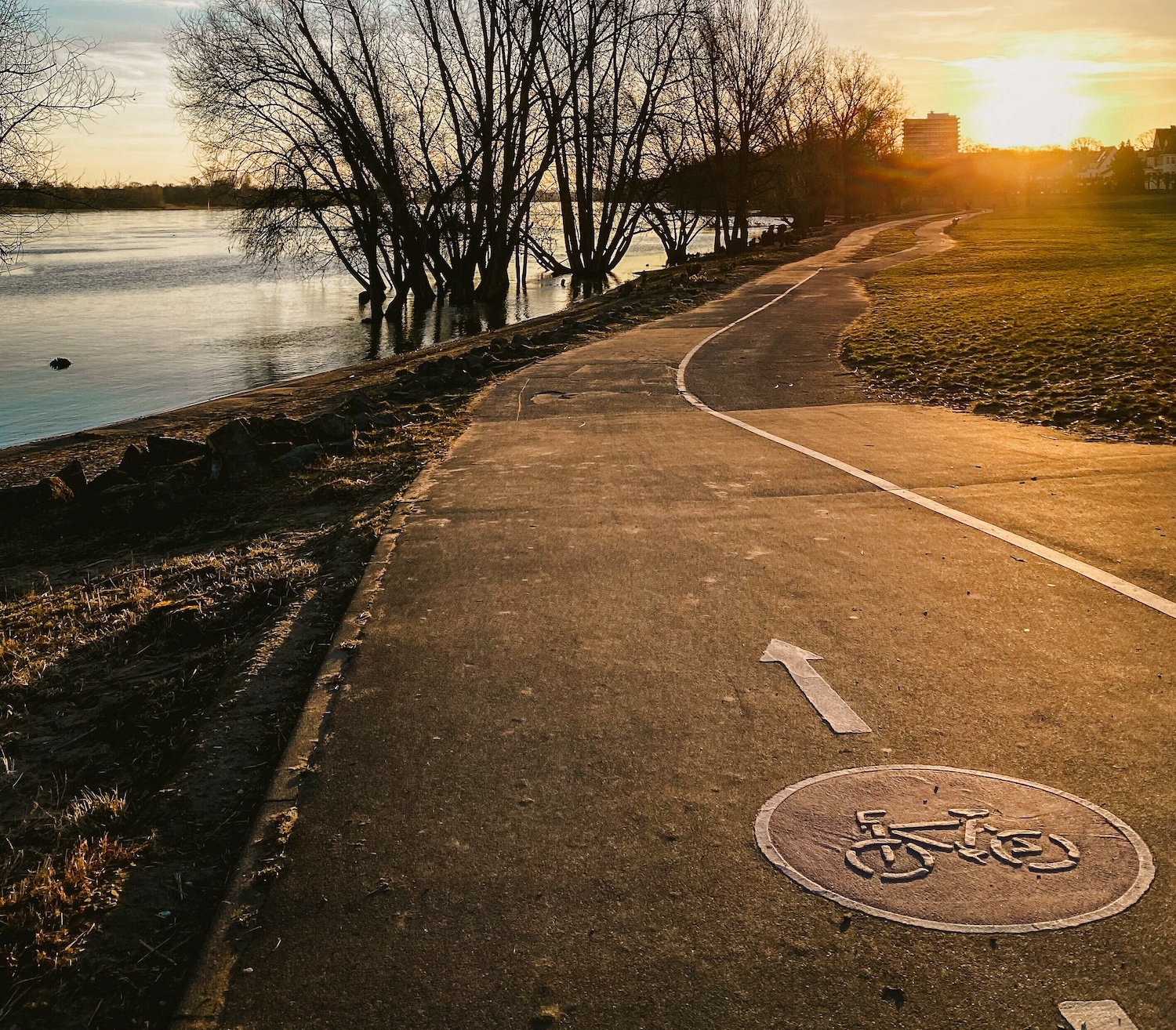 Top Fahrradtouren in und um Köln | Am Rhein entlang | Mr. Köln | Foto: Jennifer Latuperisa Andresen Top Fahrradtouren in und um Köln | Am Rhein entlang | Mr. Köln | Foto: Jennifer Latuperisa Andresen
