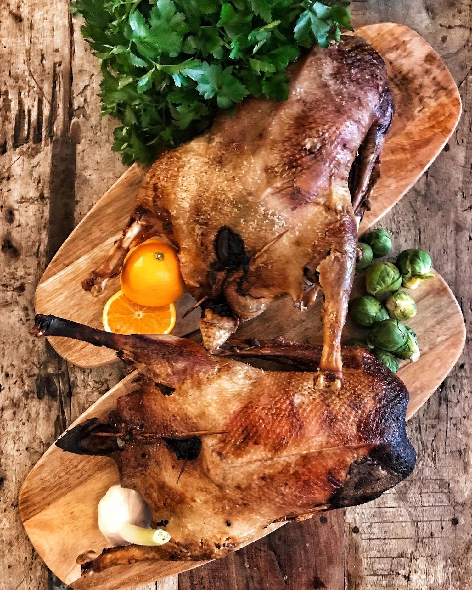 Top Restaurants in Köln zum Gänseessen | Mr. Köln | Foto: Weinstube Haus Müller