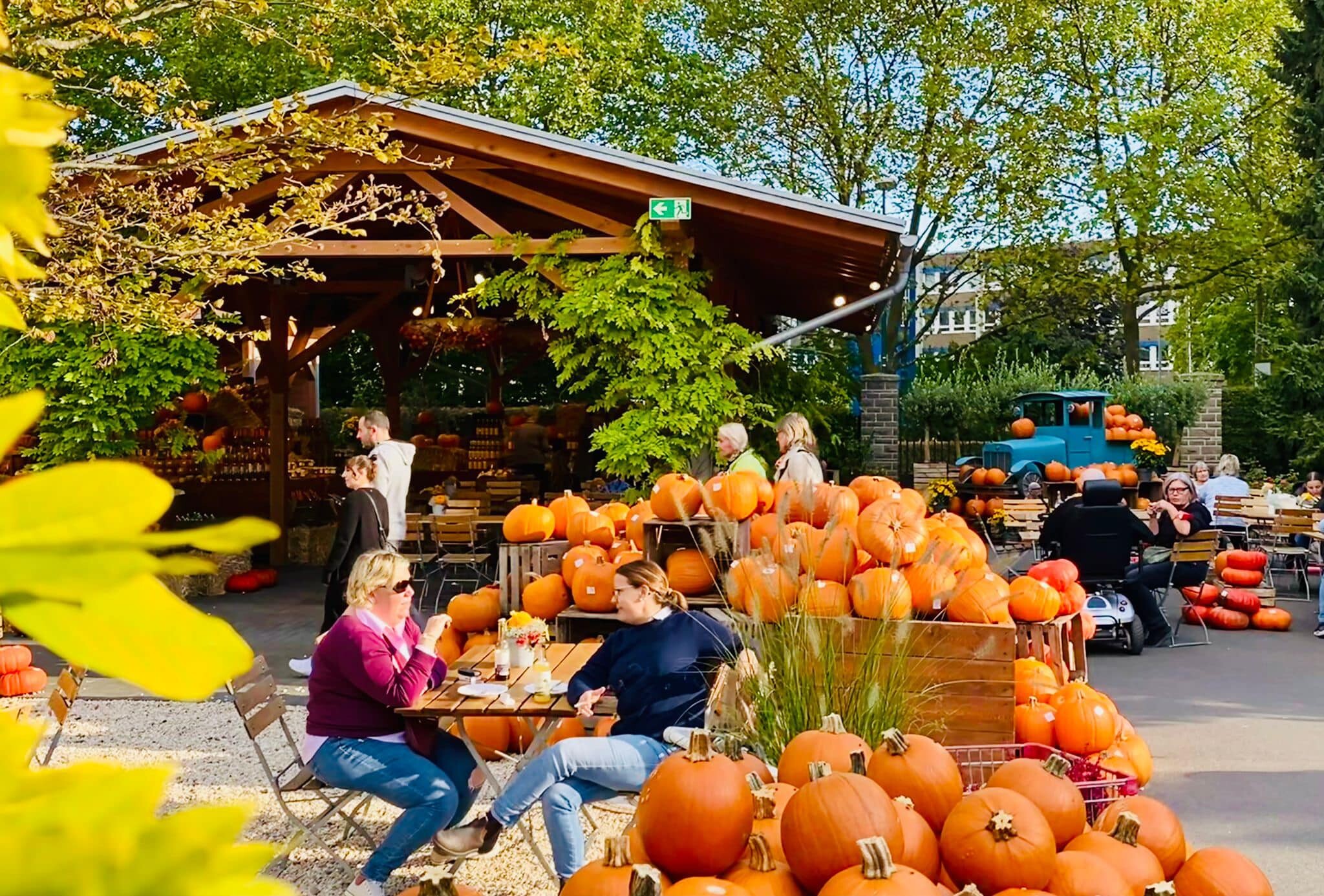 Top Orte für Kürbis in Köln | Gertrudenhof | Mr. Köln | Foto: Gertrudenhof Top Orte für Kürbis in Köln | Gertrudenhof | Mr. Köln | Foto: Gertrudenhof