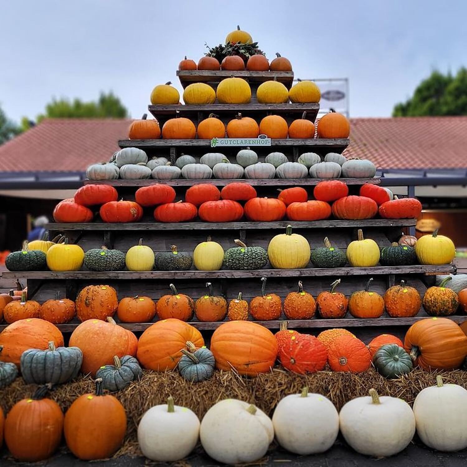 Top Orte für Kürbis in Köln | Gut Clarenhof | Mr. Köln | Foto: Gut Clarenhof Top Orte für Kürbis in Köln | Gut Clarenhof | Mr. Köln | Foto: Gut Clarenhof