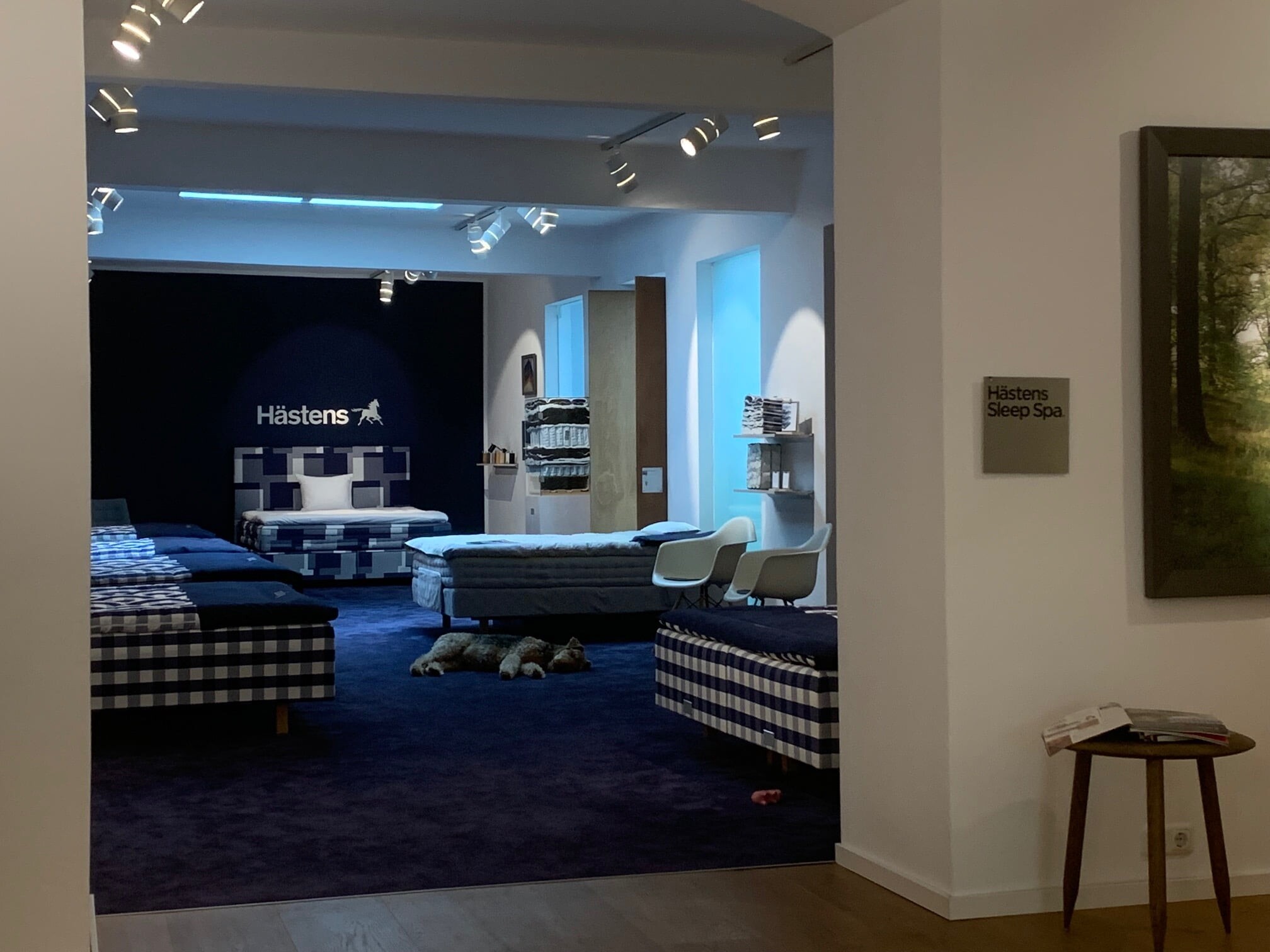 Hästens Store | Top Möbelgeschäfte in Köln | Mr. Köln | Foto: Hästens Store Hästens Store | Top Möbelgeschäfte in Köln | Mr. Köln | Foto: Hästens Store