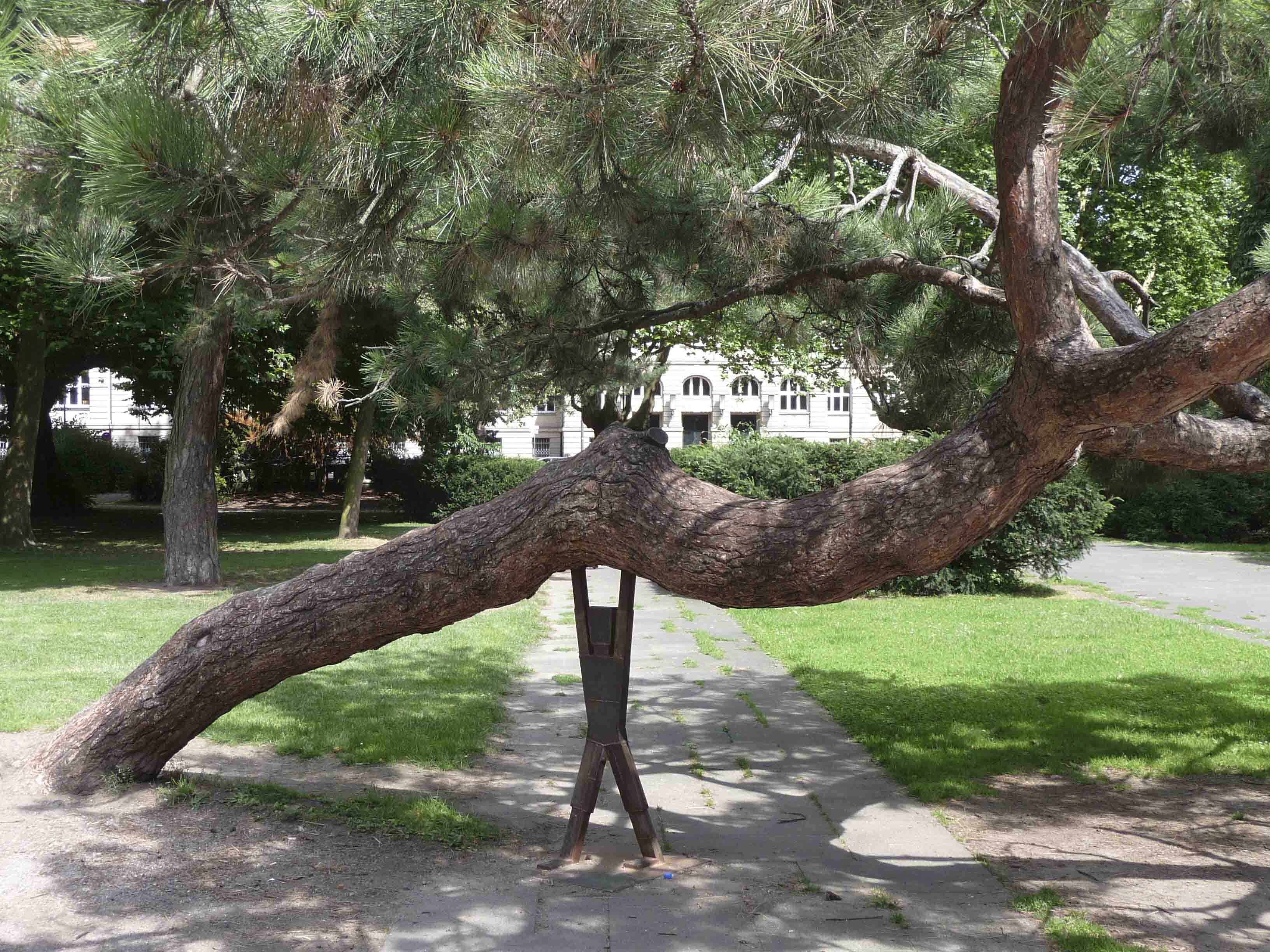 Top Parks in Köln | Römerpark | Mr. Köln | Foto: Römerpark