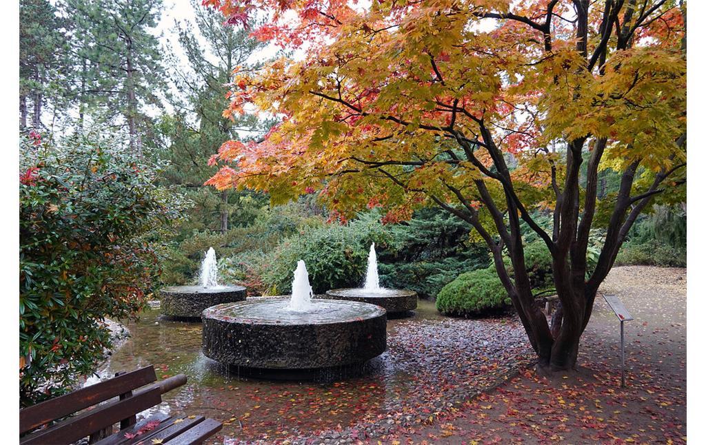 Top Parks in Köln | Forstbotanischer Garten | Mr. Köln | Foto: Katharina Grünwald