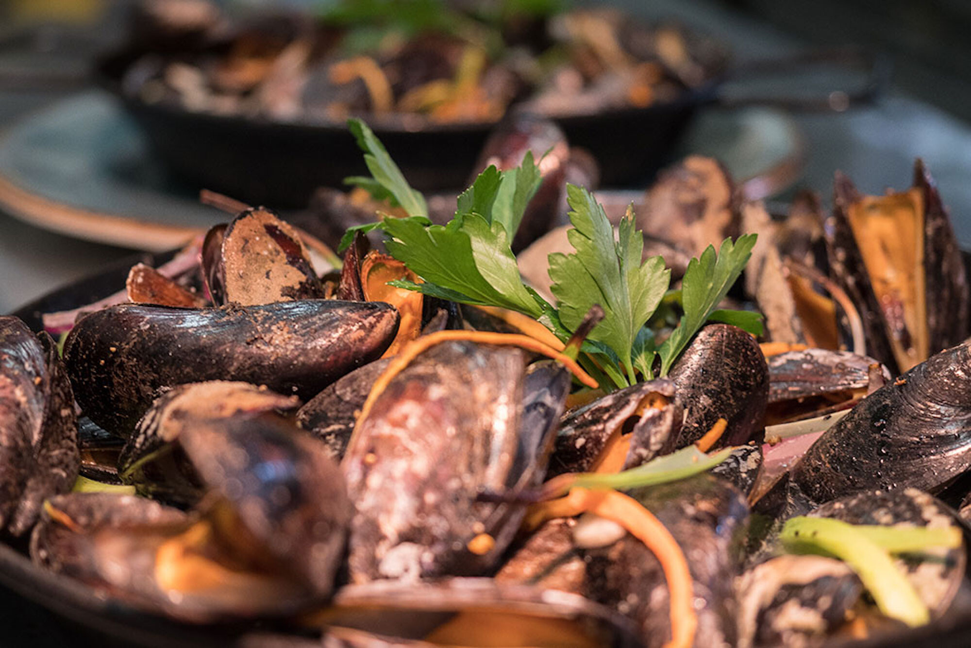 Top Tapas Bars in Köln | Mr. Köln | Foto: Asado