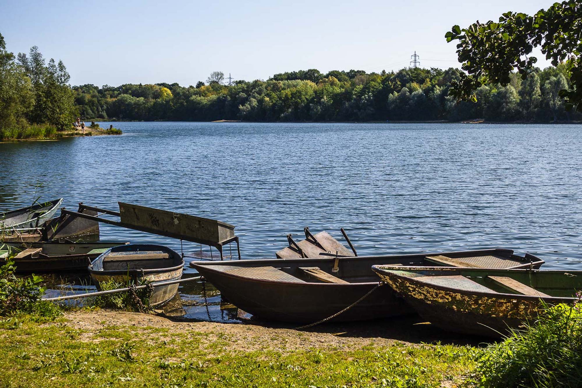 Top Wanderrouten in Köln | Dellbrücker Heide | Mr. Köln | Foto: Nicole Hundertmark Top Wanderrouten in Köln | Dellbrücker Heide | Mr. Köln | Foto: Nicole Hundertmark