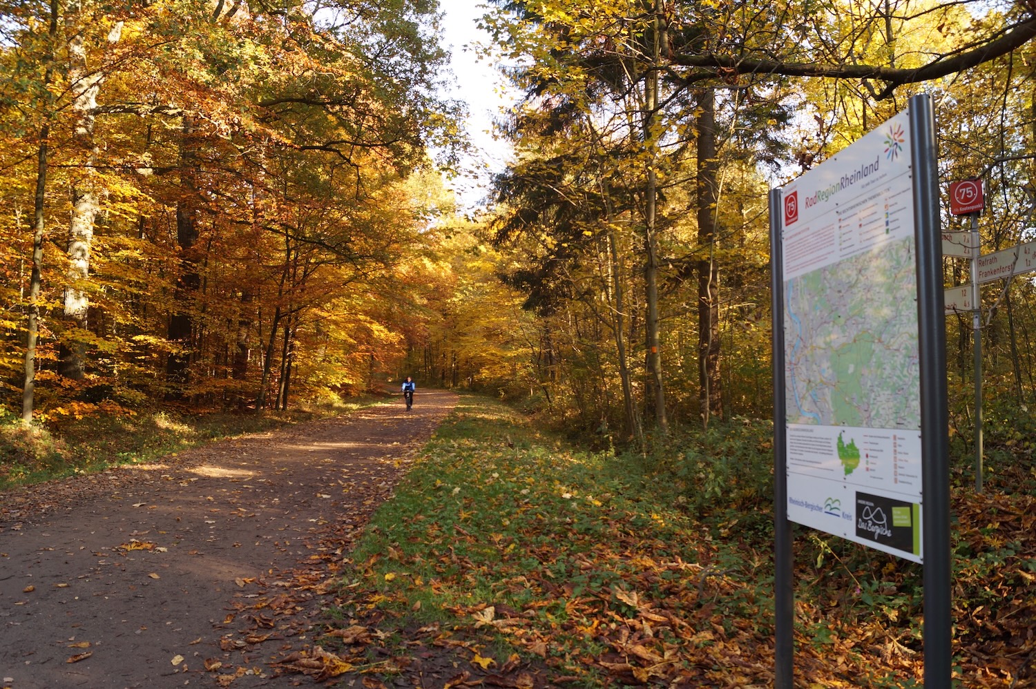 Top Wanderrouten in Köln | Königsforst | Mr. Köln | Foto: Maren Pussak Top Wanderrouten in Köln | Königsforst | Mr. Köln | Foto: Maren Pussak