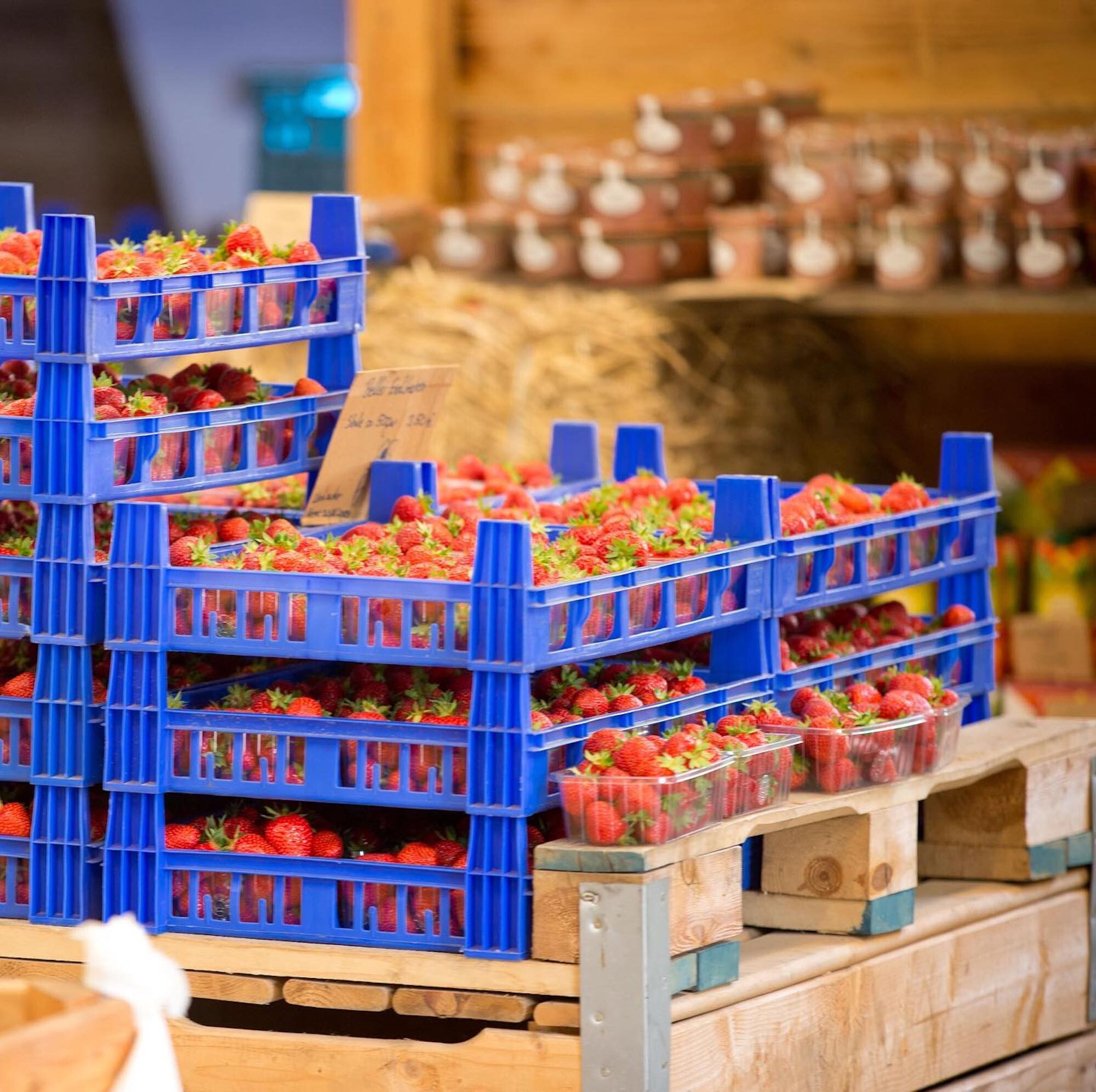 Top Hofläden in Köln | Beller Hof | Mr. Köln | Foto: Beller Hof Top Hofläden in Köln | Beller Hof | Mr. Köln | Foto: Beller Hof