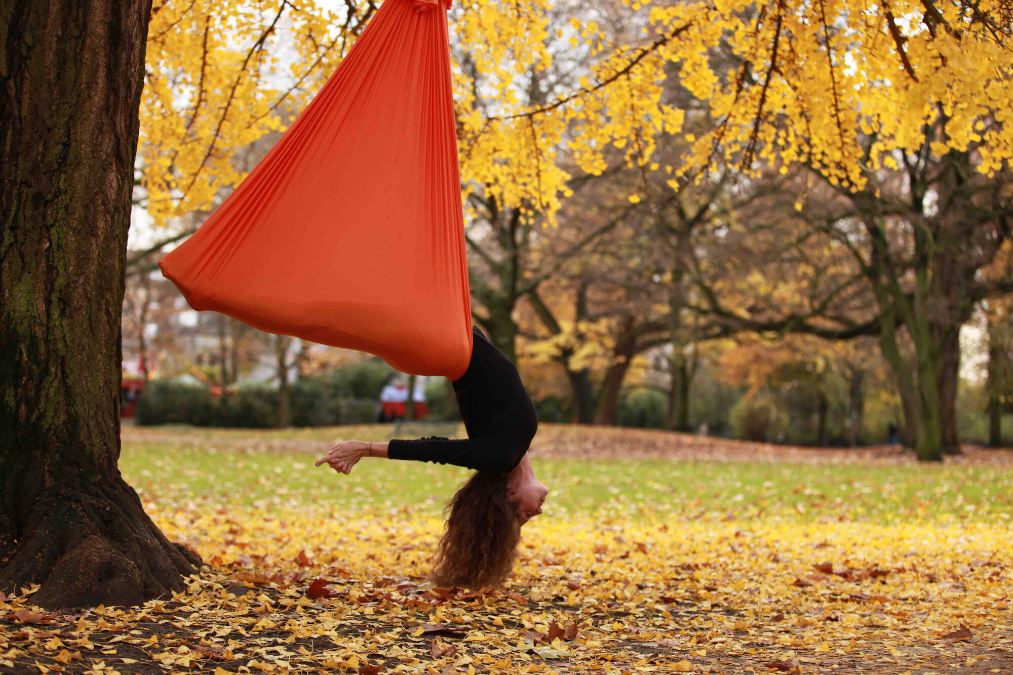 Yogaluft Aerial Yoga | Top Yoga Studios in Köln | Mr. Köln | Foto: Yogaluft Aerial Yoga Yogaluft Aerial Yoga | Top Yoga Studios in Köln | Mr. Köln | Foto: Yogaluft Aerial Yoga